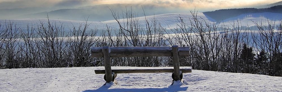 Bank im Schnee