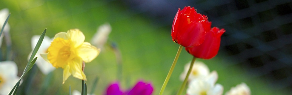 Konstantin Frühling